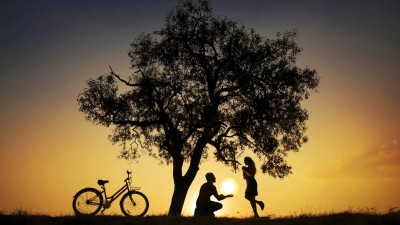 عاشقانه-عشق-عاشق-دوچرخه-درخت-هنری و نقاشی